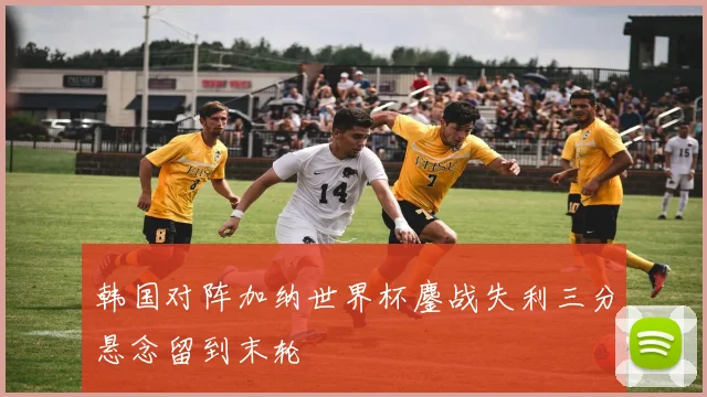 韩国对阵加纳世界杯鏖战失利三分悬念留到末轮