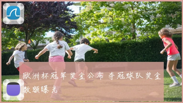 欧洲杯冠军奖金公布 夺冠球队奖金数额曝光