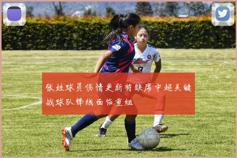 张姓球员伤情更新将缺席中超关键战球队锋线面临重组