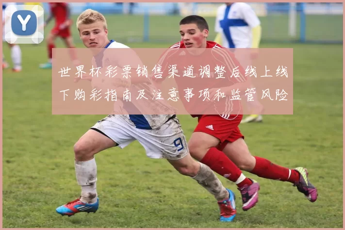 世界杯彩票销售渠道调整后线上线下购彩指南及注意事项和监管风险