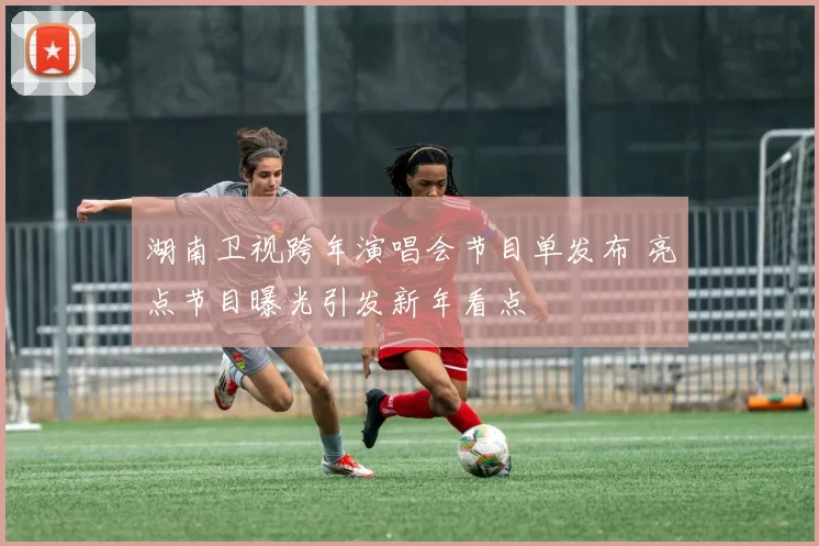 湖南卫视跨年演唱会节目单发布 亮点节目曝光引发新年看点