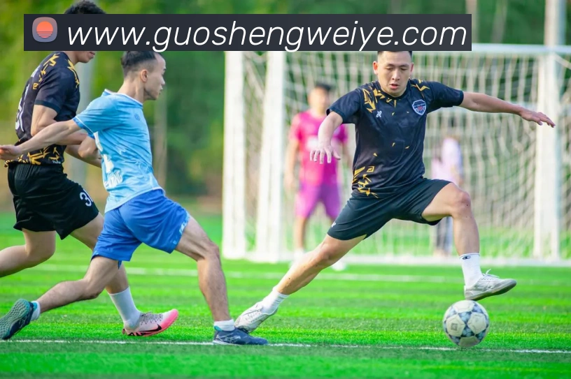 尊龙人生就是 首页平台生态图
